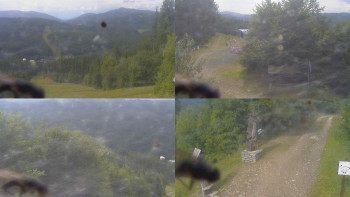 Snímek    12.7.2025 v 16:00