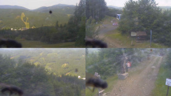 Snímek    13.7.2025 v 11:00