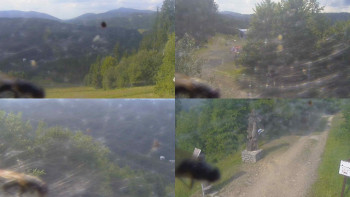 Snímek    13.7.2025 v 16:30