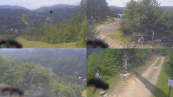 Snímek    16.7.2025 v 13:30