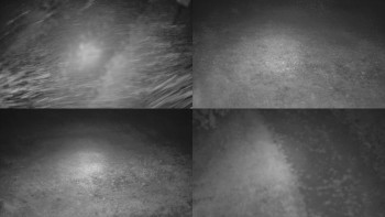Snímek    13.9.2025 v 03:31