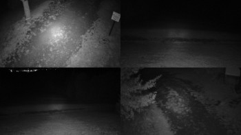 Snímek    16.9.2025 v 22:31