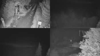 Snímek    15.10.2025 v 23:01