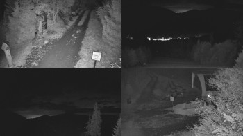 Snímek    29.10.2025 v 21:31