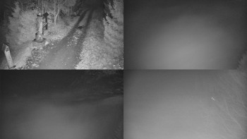 Snímek    8.11.2025 v 20:31