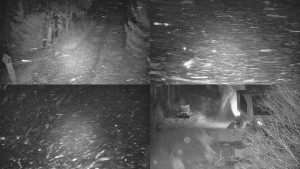 Skiareál Bílá - Sdružený snímek - 16.12.2025 v 01:31 Skiareál Bílá - Sdružený snímek - 16.12.2025 v 01:31