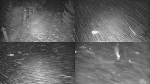 Skiareál Bílá - Sdružený snímek - 16.12.2025 v 04:31 Skiareál Bílá - Sdružený snímek - 16.12.2025 v 04:31