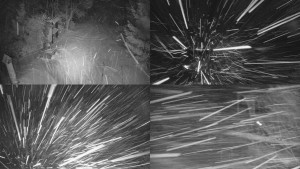 Skiareál Bílá - Sdružený snímek - 31.12.2025 v 03:31