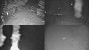 Skiareál Bílá - Sdružený snímek - 30.1.2026 v 00:31