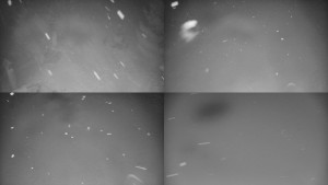 Skiareál Bílá - Sdružený snímek - 8.2.2026 v 01:31