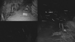 Skiareál Bílá - Sdružený snímek - 13.2.2026 v 00:31