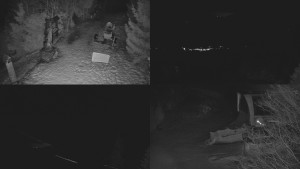 Skiareál Bílá - Sdružený snímek - 13.2.2026 v 04:31