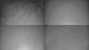 Skiareál Bílá - Sdružený snímek - 17.3.2026 v 05:31