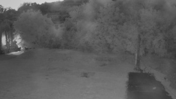 Snímek    16.7.2025 v 04:20