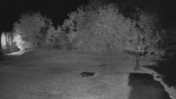 Snímek    13.9.2025 v 21:20