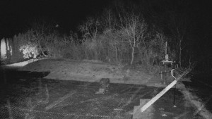 TJ Němčičky - Otočná kamera - 13.11.2025 v 05:55 TJ Němčičky - Otočná kamera - 13.11.2025 v 05:55