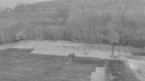 TJ Němčičky - Otočná kamera - 13.11.2025 v 06:55 TJ Němčičky - Otočná kamera - 13.11.2025 v 06:55