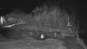 TJ Němčičky - Otočná kamera  - 18.12.2025 v 00:25