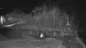 TJ Němčičky - Otočná kamera - 18.12.2025 v 00:55 TJ Němčičky - Otočná kamera - 18.12.2025 v 00:55