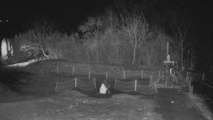 TJ Němčičky - Otočná kamera  - 18.12.2025 v 02:45