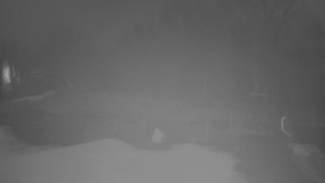 TJ Němčičky - Otočná kamera  - 18.12.2025 v 16:35