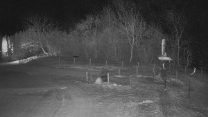 TJ Němčičky - Otočná kamera  - 14.1.2026 v 01:55