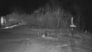 TJ Němčičky - Otočná kamera  - 14.1.2026 v 03:25