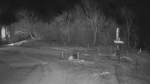 TJ Němčičky - Otočná kamera  - 14.1.2026 v 04:30