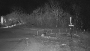 TJ Němčičky - Otočná kamera  - 14.1.2026 v 05:45