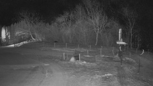 TJ Němčičky - Otočná kamera  - 14.1.2026 v 06:45