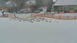 TJ Němčičky - Otočná kamera  - 14.1.2026 v 10:05