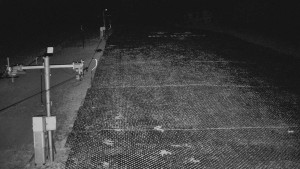 TJ Němčičky - Otočná kamera  - 5.4.2026 v 01:00