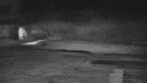 TJ Němčičky - Otočná kamera  - 5.4.2026 v 03:50