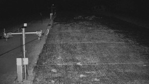 TJ Němčičky - Otočná kamera  - 5.4.2026 v 21:55