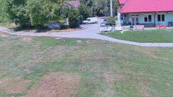 TJ Němčičky