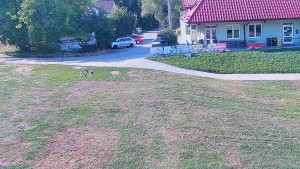 TJ Němčičky - Rotierende Kamera - 31.7.2026 v 16:55 TJ Němčičky - Rotierende Kamera - 31.7.2026 v 16:55