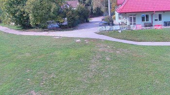 TJ Němčičky