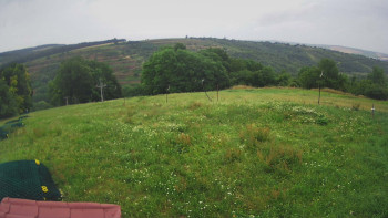Snímek    7.7.2025 v 08:50