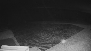 TJ Němčičky - Výstup z vleku - 30.11.2025 v 03:55