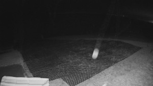 TJ Němčičky - Výstup z vleku - 30.11.2025 v 04:05 TJ Němčičky - Výstup z vleku - 30.11.2025 v 04:05