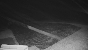 TJ Němčičky - Výstup z vleku - 30.11.2025 v 05:30 TJ Němčičky - Výstup z vleku - 30.11.2025 v 05:30