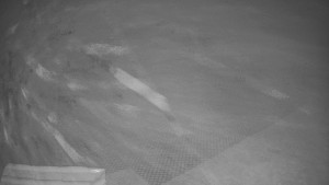 TJ Němčičky - Výstup z vleku - 30.11.2025 v 17:05 TJ Němčičky - Výstup z vleku - 30.11.2025 v 17:05