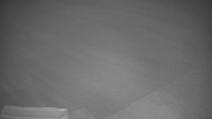 TJ Němčičky - Výstup z vleku - 30.11.2025 v 17:55 TJ Němčičky - Výstup z vleku - 30.11.2025 v 17:55