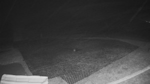 TJ Němčičky - Výstup z vleku - 15.12.2025 v 00:55 TJ Němčičky - Výstup z vleku - 15.12.2025 v 00:55