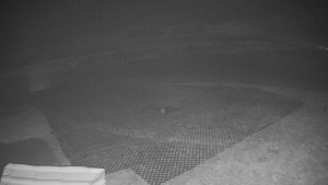 TJ Němčičky - Výstup z vleku - 15.12.2025 v 02:55 TJ Němčičky - Výstup z vleku - 15.12.2025 v 02:55