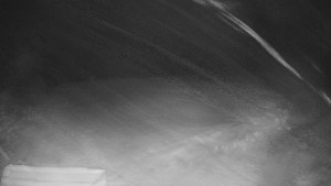 TJ Němčičky - Výstup z vleku - 29.1.2026 v 00:55