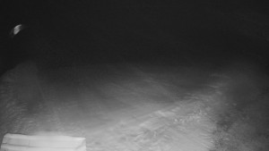 TJ Němčičky - Výstup z vleku - 29.1.2026 v 02:55