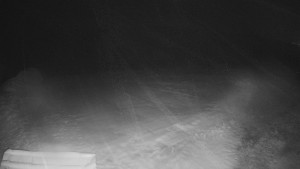 TJ Němčičky - Výstup z vleku - 29.1.2026 v 03:10 TJ Němčičky - Výstup z vleku - 29.1.2026 v 03:10