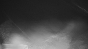 TJ Němčičky - Výstup z vleku - 29.1.2026 v 03:55