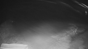 TJ Němčičky - Výstup z vleku - 29.1.2026 v 04:55